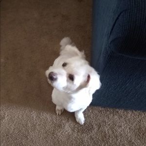 Meet your Posher, Sandra